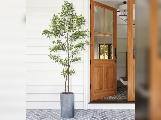 Lot 96-211569 - Faux Black Olive Tree 7ft, Artificial Shady Lady Tree with Natural Trunk and Realistic Leaves, 7 Fee...