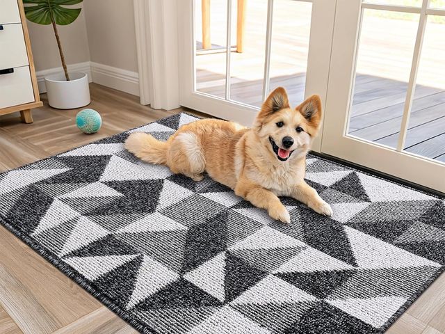 Lot 96-180533 - OLANLY Large Door Mat Indoor Entrance Washable 40x32, Odor-Free Low-Profile Front Back Geometric Doo...