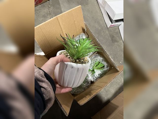 Lot 96-201488 - 4 pack of Artificial Succulents, Assorted. New